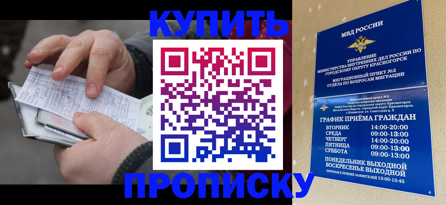 временная регистрация недорого в Сургуте
